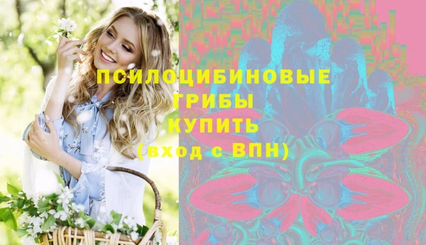 apvp Надым