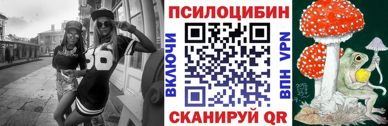 Псилоцибиновые грибы GOLDEN TEACHER  Курган 