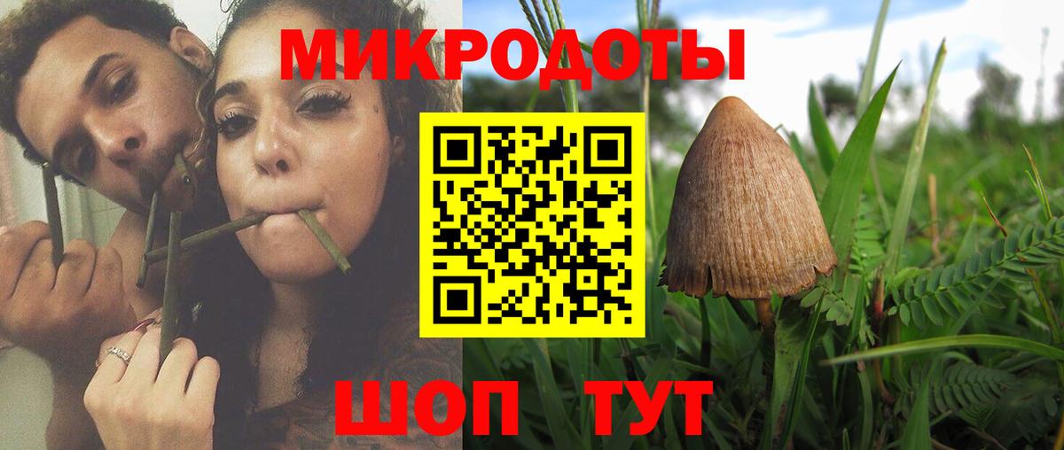 Галлюциногенные грибы мицелий Курган