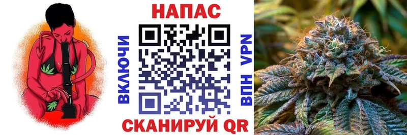МАРИХУАНА SATIVA & INDICA  кракен маркетплейс  Курган  купить  